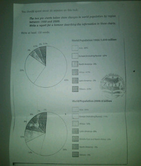 World population essay