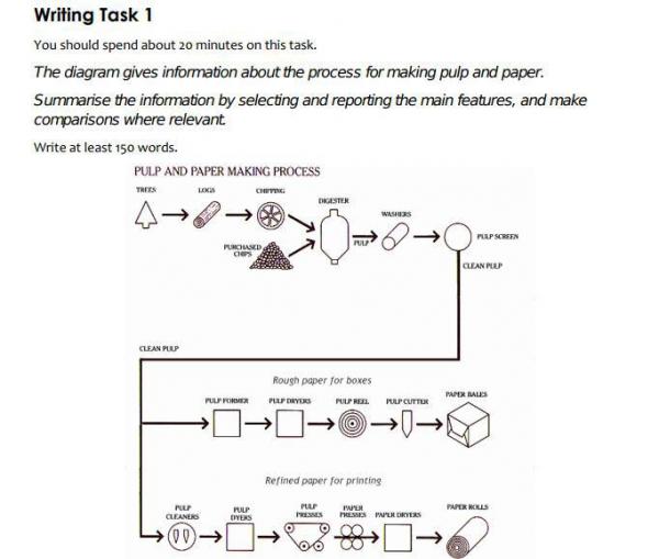 Reporting information essay