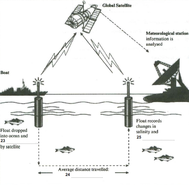 More and more plastic waste has polluted cities countryside and oceans picture