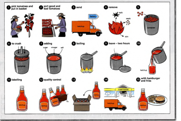 Tomato Sauce Production Flow Chart