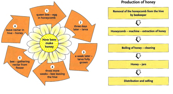 Nectar Preparation Flow Chart