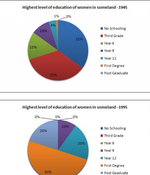 Write a report for a university lecturer describing the information