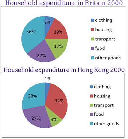 Expenditure Chart