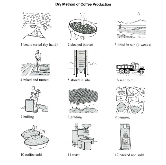 Coffee Production Process Flow Chart