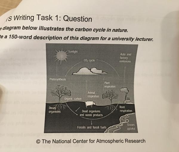 Essay On Newspaper In Hindi Essay Topics The Diagram Below Illustrates The Carbon Cycle In Nature Write A Word Description Of This Diagram For A University Lecturer Essays About English Language also Cause And Effect Essay Topics For High School The Diagram Below Illustrates The Carbon Cycle In Nature Write A High School Persuasive Essay Examples