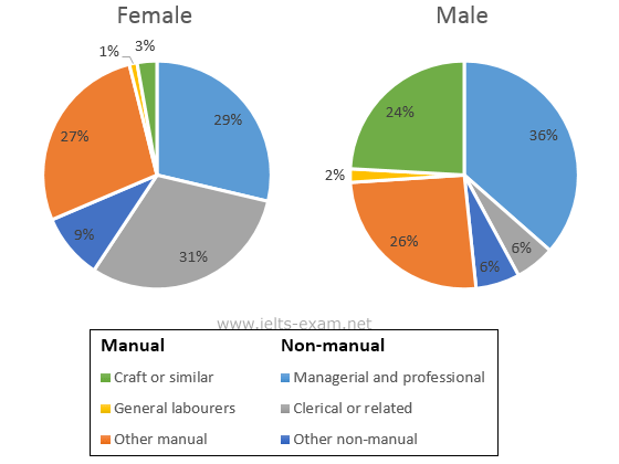 Unemployment Pie Chart