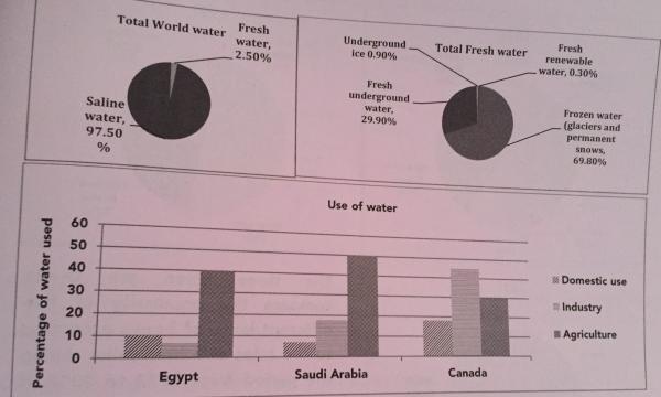 Waters Column Chart