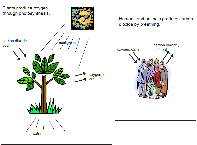 Co2 To O2 Conversion Chart