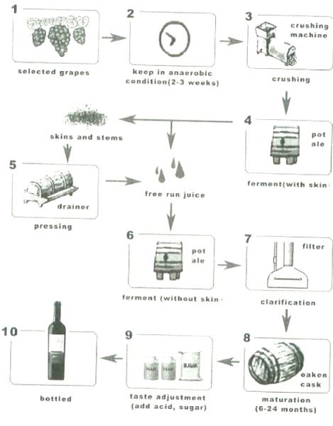 Wine Manufacturing Flow Chart