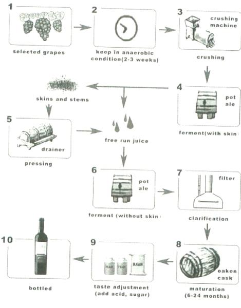 Wine Chart Red