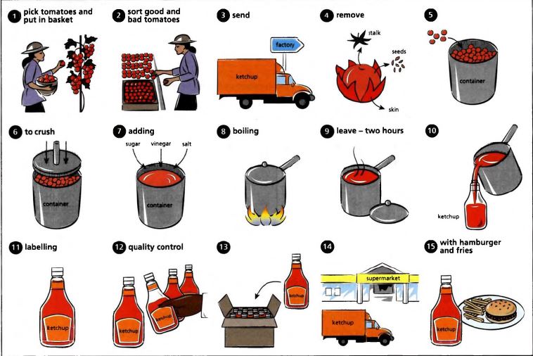 Flow Chart Of Tomato Ketchup