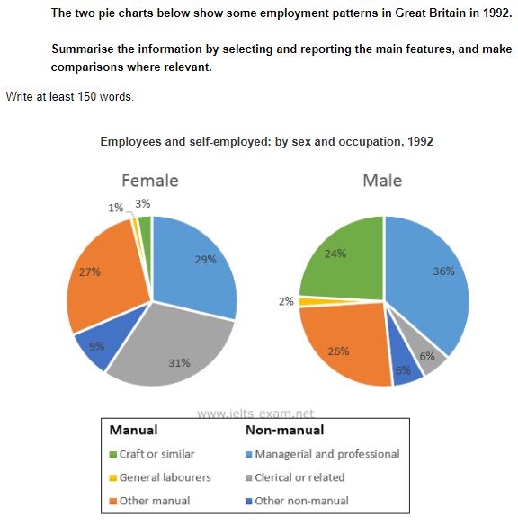 The two pie charts below show some employment patterns in Great Britain