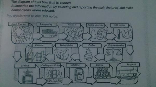 Canning Process Flow Chart