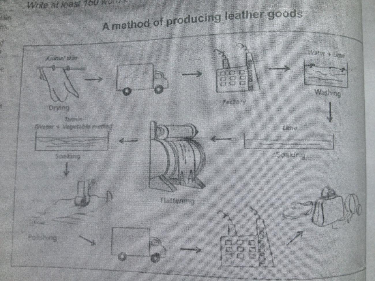 The diagram below show how leather goods are produced. Summarize the