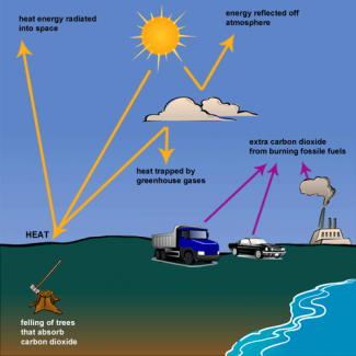 Sample Essays | Greenhouse Effect Essay Sample paper on greenhouse effect