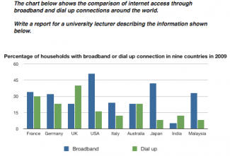 Write a report for a university lecturer describing the development of the village picture