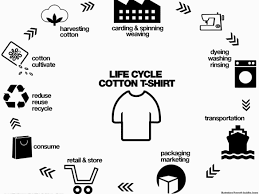 the diagram below shows the life cycle of cotton t shirt | TOEFL IELTS ...