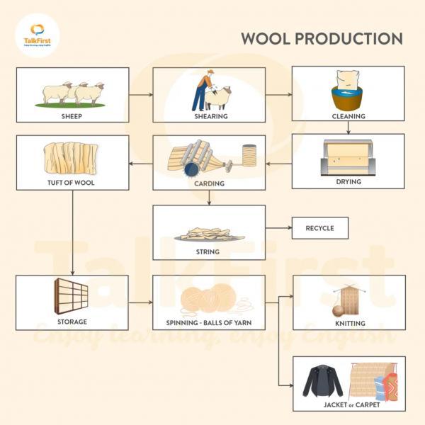 The picture shows the process of making wool Summarise the information by selecting and