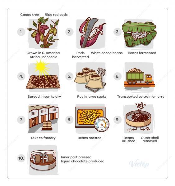Task 1 The diagram shows how chocolate is produced Summarize the
