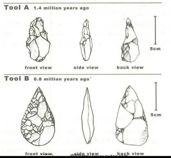 The diagram below shows the development of cutting tools in the Stone