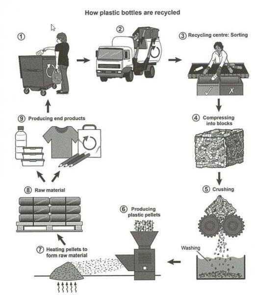 The diagram below shows the process for recycling plastic bottles